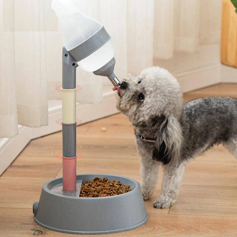 A small, fluffy gray dog drinks from a Pet Water Feeder attached to a dog basin filled with kibble, on a wooden floor near sheer curtains.