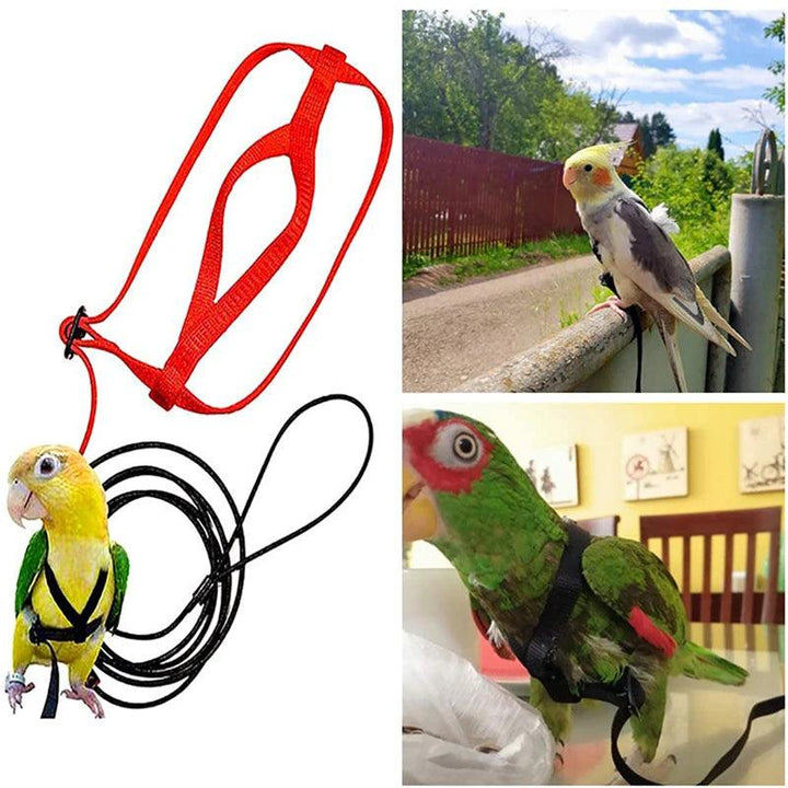 Parrot Flying Rope Bird Harness Leash Training Traction Rope for Birds