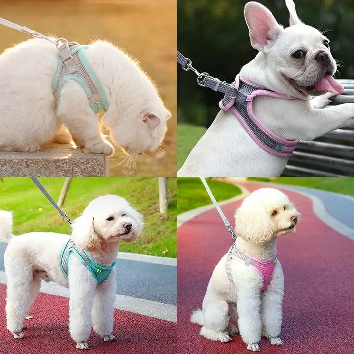 Cat Harness and Leash Set Adjustable Dog Harness Vest Pet Leash for Small Dogs