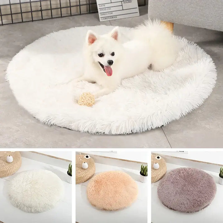 A fluffy white dog is comfortably resting on a round, white coral fleece pet mat from the Cat Bed, Dogs Bed, House Kennel collection. Nearby, a small beige ball can be seen. Below, three additional plush covers in white, peach, and gray are showcased side by side in a modern, minimalistic setting.