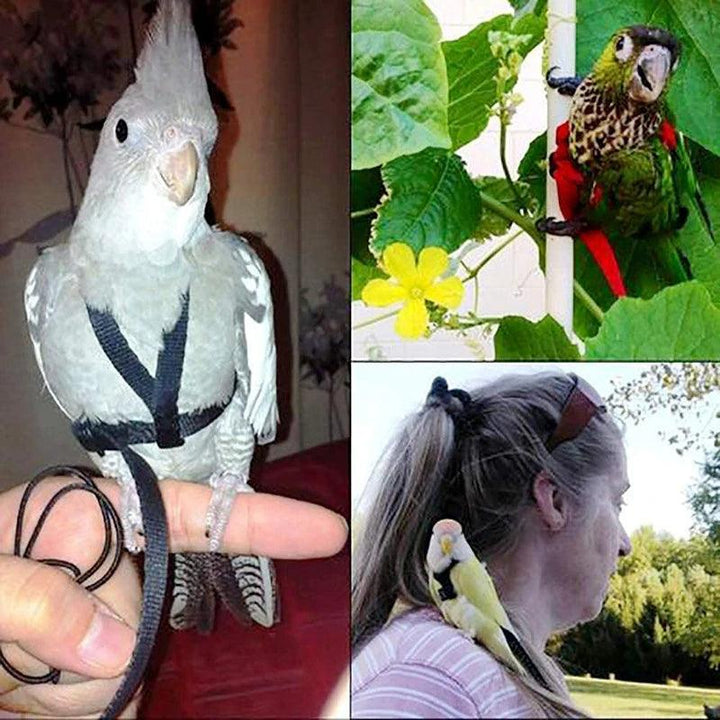 Parrot Flying Rope Bird Harness Leash Training Traction Rope for Birds