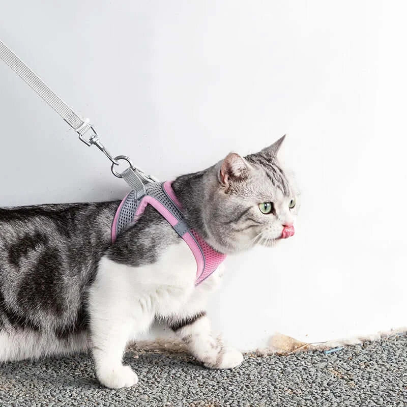 A gray and white cat, wearing the Cat Harness and Leash Set Adjustable Dog Harness Vest Pet Leash for Small Dogs in pink with a reflective design, is strolling on a gravel surface while licking its nose, against a plain white wall.