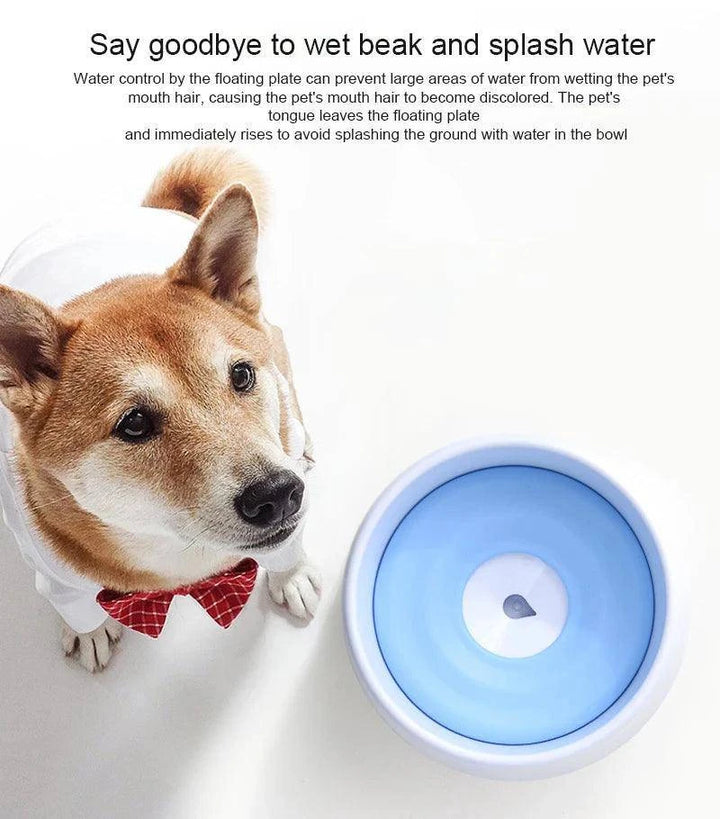 Automatic Drinking Bowl, Splash-Proof Pet Feeder - Calibra OneZero