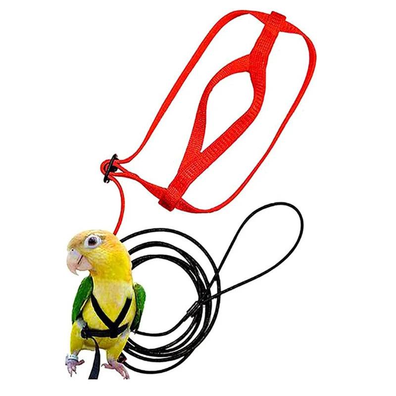 Parrot Flying Rope Bird Harness Leash Training Traction Rope for Birds