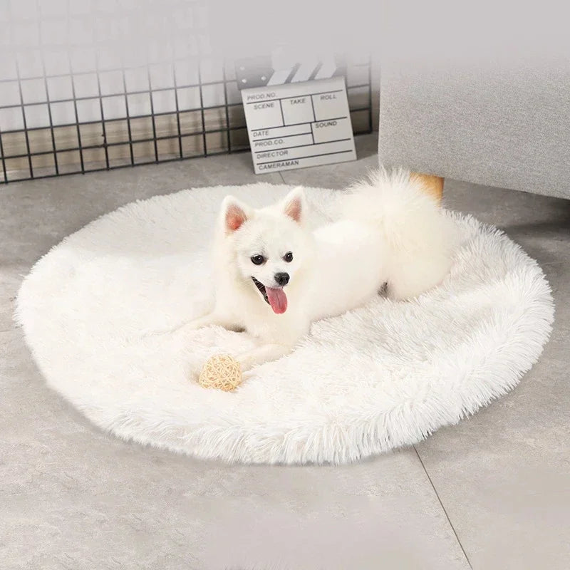 A fluffy white dog is relaxing on a Plush Cat Bed Pet Sleeping Mat Round Cat Cushion with a small woven ball toy nearby. In the background, there is a gray sofa and a grid-patterned wall.